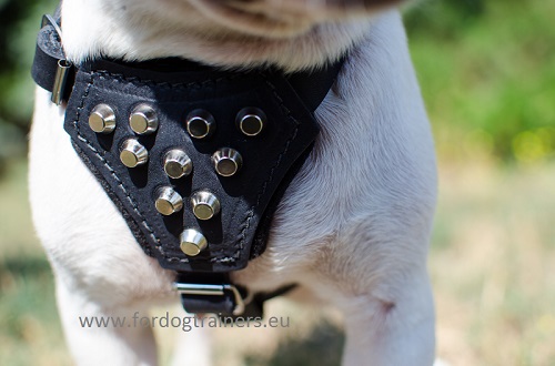 Small Dog Harness for French Bulldog