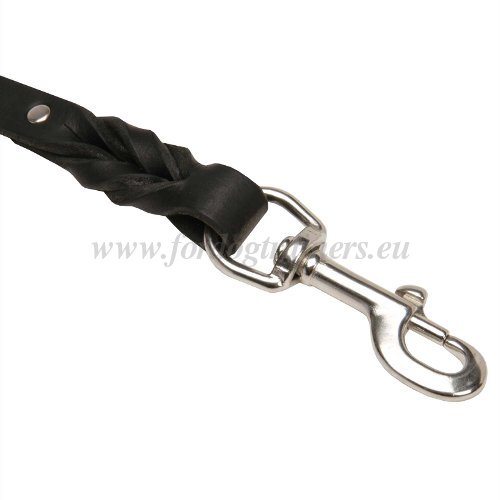 2 Ft Leather Dog Leash