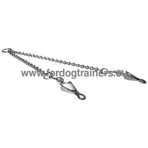 Chain lead coupler for Pitbulls