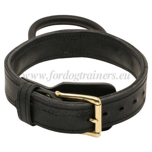 Dog Collar with Handle