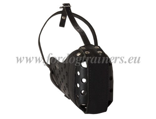 Leather
Muzzle for Agitation Training