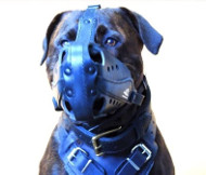 Sturdy Leather Dog Muzzle for Alano
