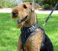 Hundegeschirr aus leder H1