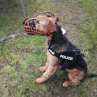 Leather Baskerville Muzzle for Airdale Terrier