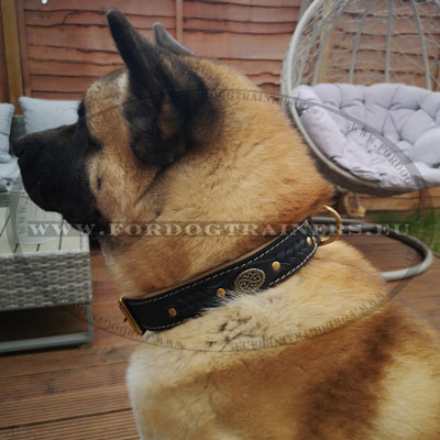 Leather Dog Collar for Akita Breed Braided