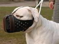 American
Bulldog Leather Muzzle