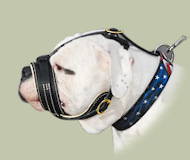 Royal Nappa Leather Dog Muzzle for American Bulldog