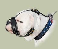 American Bulldog Exklusives Nappa gepolsterte Hund Maulkorb