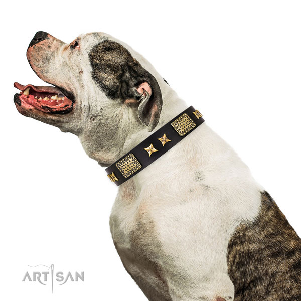 Thick Leather Dog Collar for American Bulldog