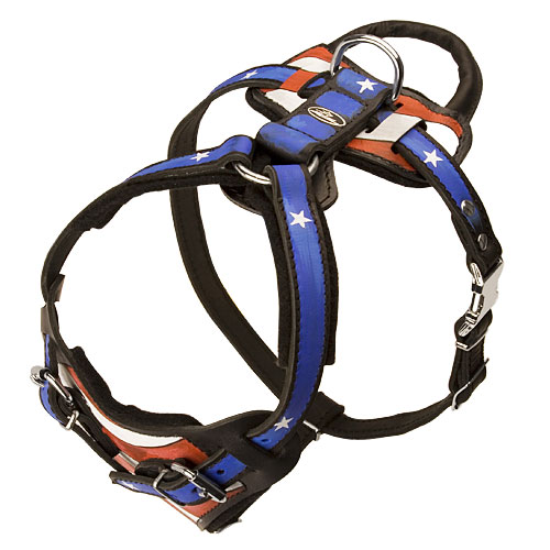 USA style Harness with a handle