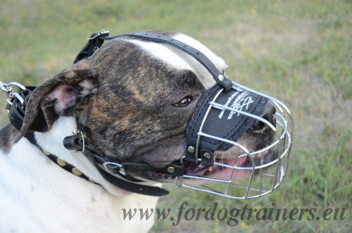 Ambull
Padded Muzzle