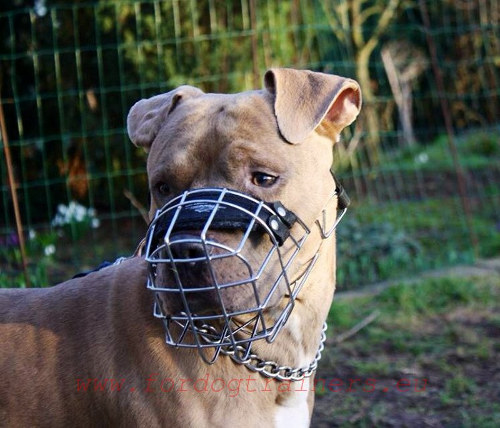 Hunde Maulkorb aus Draht fuer Amstaff