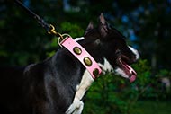 Pink Leather Dog Collar