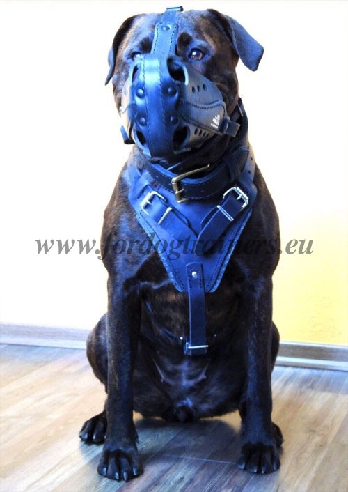 Big Dog Leather Muzzle