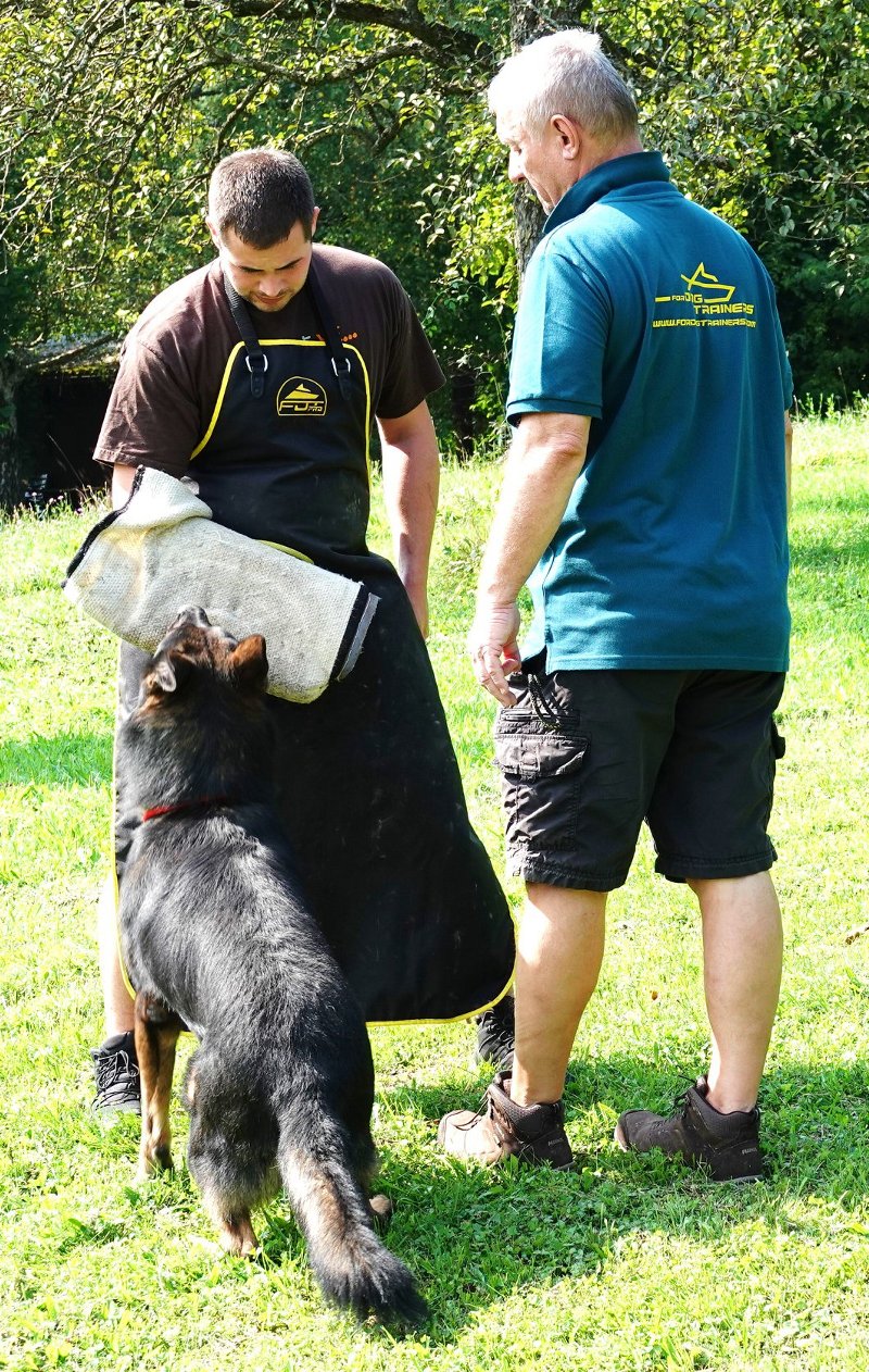 YOOGAO Pet Long Dog Training Leash Laisse pour chien avec design spécial  antidérapant et poignée rembourrée, 10/15/33/50 pieds, pour toutes les  tailles de chiens 