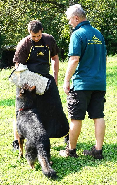 Nylon Dog Trainer's Apron