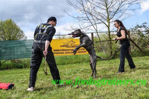 Agitation Dog Training Nylon Pants