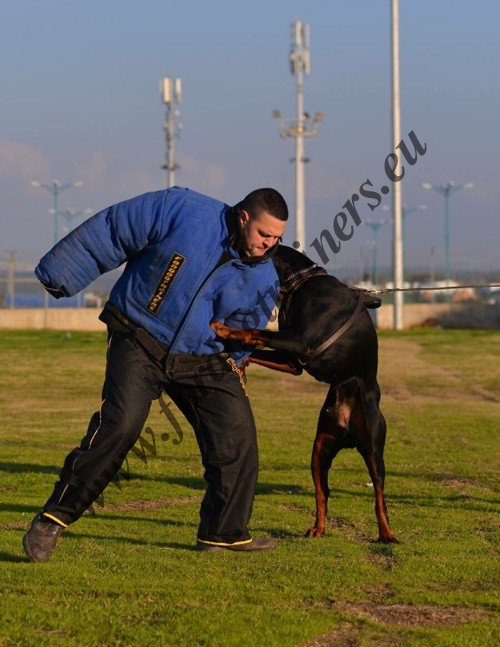 Leather Doberman Harness