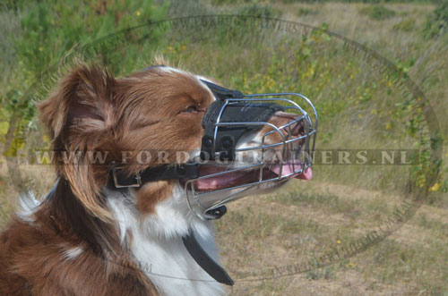 Muilkorf voor comfort uw hond!