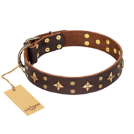 Collier
pour grand chien en cuir marron