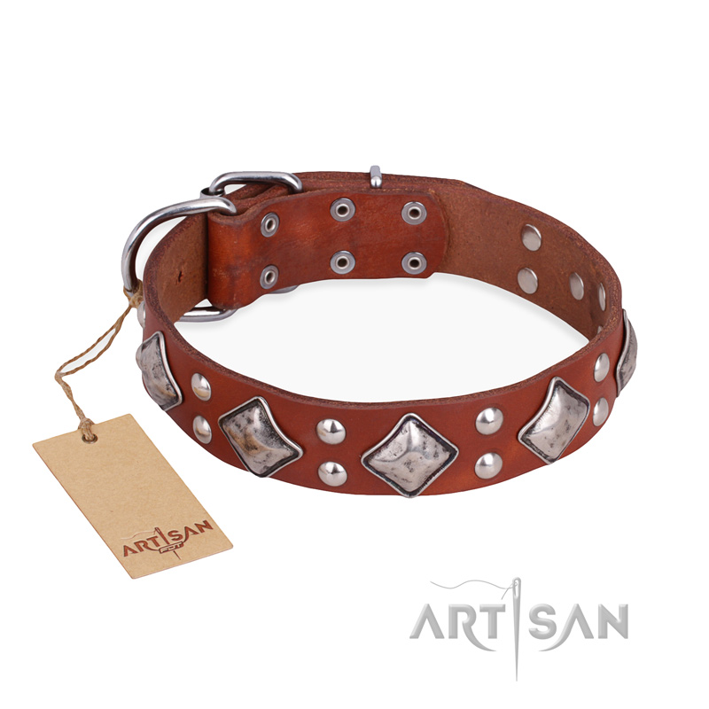 awesome dog collars