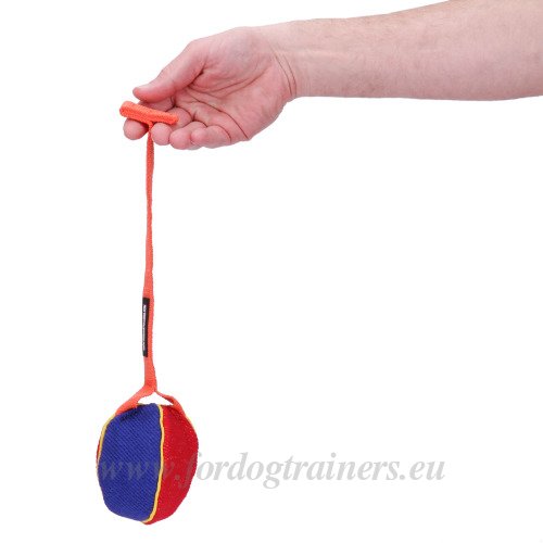 Dog Bite Training Ball