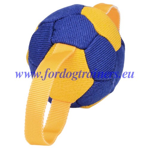 Balle de mordant pour chien