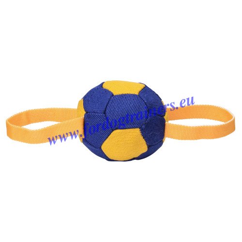 Ballon de mordant avec poignées pour chien