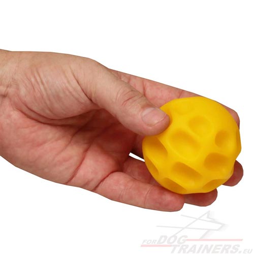 Interactive super ball to prevent dog's anxiety