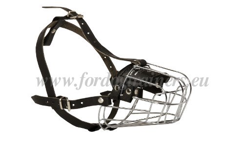 Wire Basket
Muzzle
