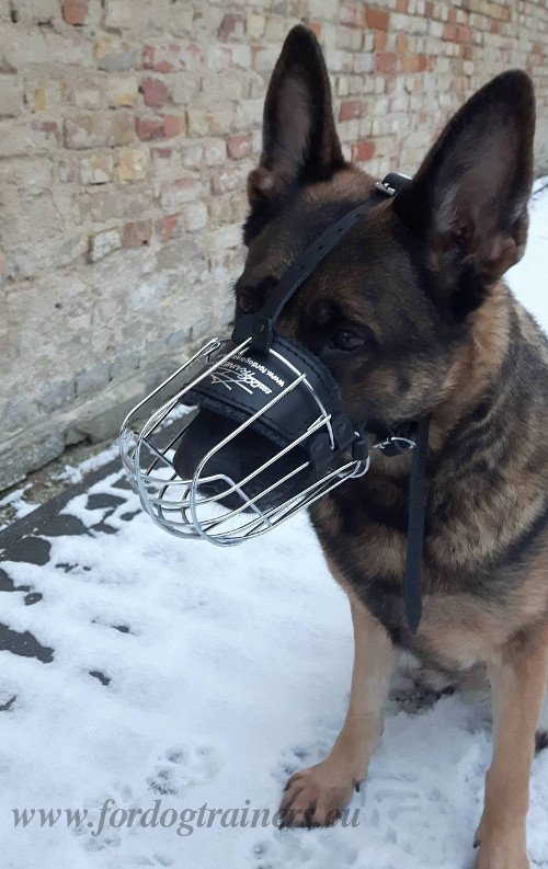 Padded Basket Muzzle for Service Dog