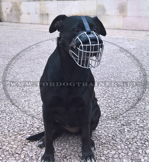 Basket Muzzle for Large Strong Dog