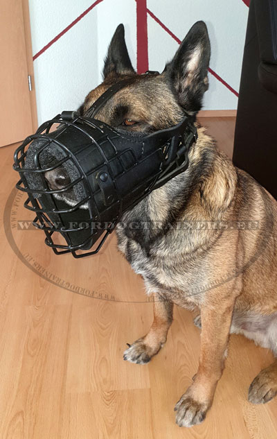 Military, Police and Army Dog Muzzle