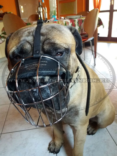 Muzzle for Molosser Dogs