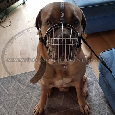 High-quality Basket Dog Muzzle for Cane Corso