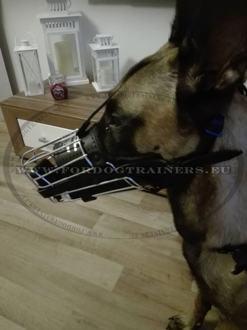 Best Dog Muzzle for Belgian Malinois Wire Basket