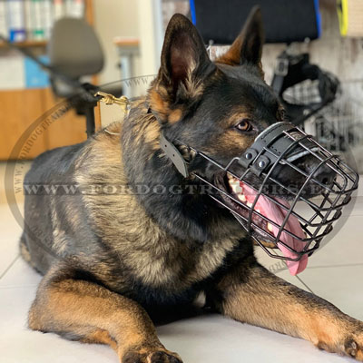 German Shepherd Rubberized Muzzle