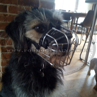 Large Wire-haired Dog Basket Muzzle