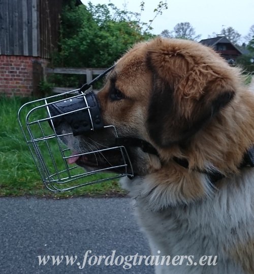 Extra Large Dog Wire Basket Muzzle