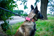 Pink
Dog Collar Leather