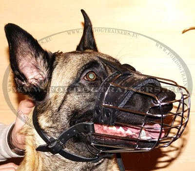 Malinois Dog Cage Muzzle