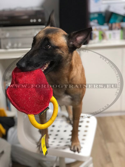 Belgian Malinois Bite Training Round Toy