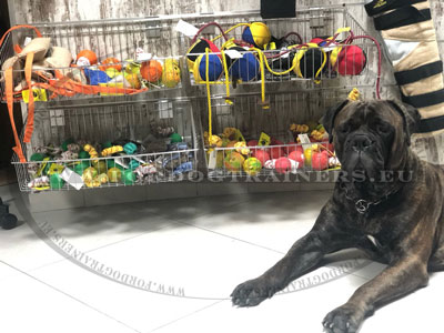 Hundespielzeug, Deutsche Qualität