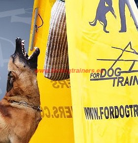 Faire Face Au Chien Qui Mord Vente En Ligne Du Materiel Pour Chien En Belgique