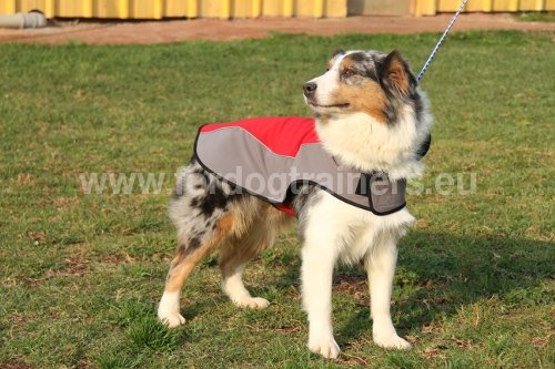 Harnais en polyester / Manteau d'hiver pour chien - Berger australien
