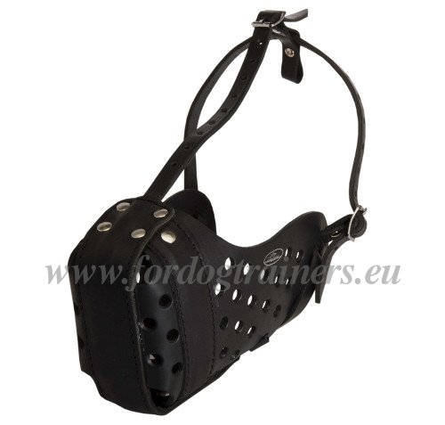 Dog
Muzzle to Prevent Biting Made of Leather