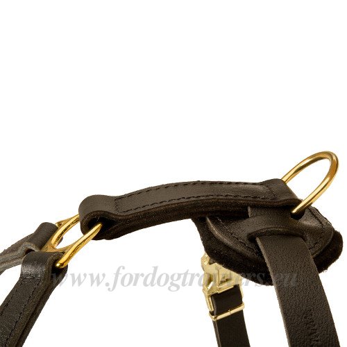 Best Dog Harness for Large Dogs