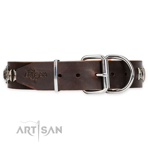 Brown Leather Collar for Dog Walking