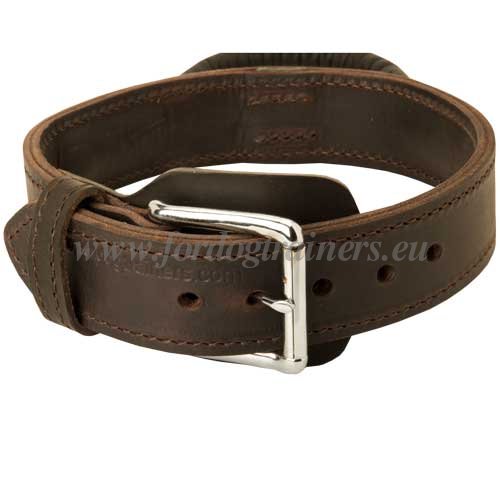 Leather Collar for Dog Training with Handle