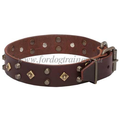 Studded Collar for Extra Large Dog